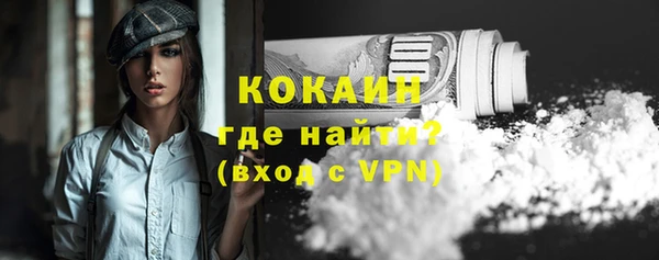 spice Новодвинск