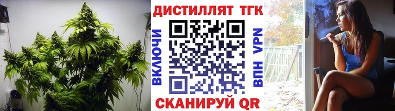 где купить наркоту  Задонск  ТГК THC oil 