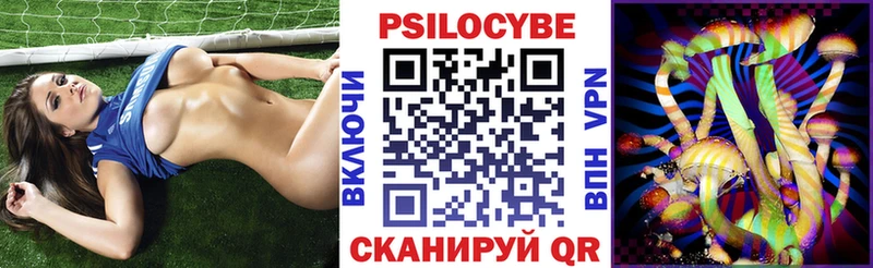 магазин    Задонск  Псилоцибиновые грибы GOLDEN TEACHER 